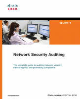 Network Security Auditing.pdf